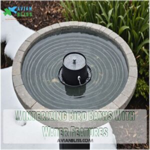 Winterizing Bird Baths With Water Features