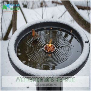 Winterizing Your Bird Bath