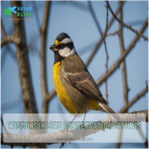 Wisconsin Bird Conservation Efforts