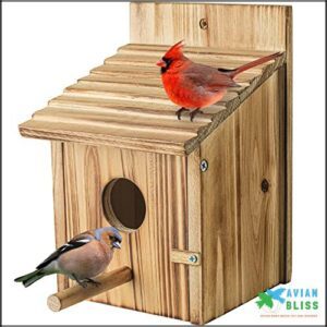 Wood Bird Houses for Outside