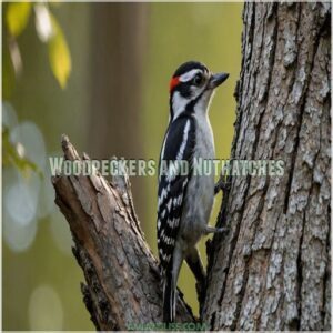 Woodpeckers and Nuthatches