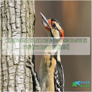 woodpeckers of arkansas