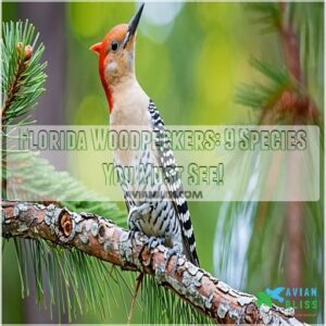 woodpeckers of florida