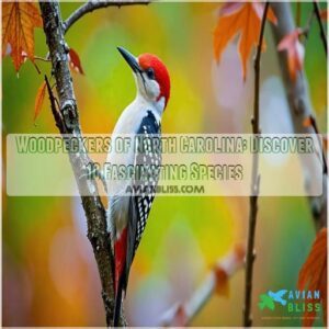 woodpeckers of north carolina