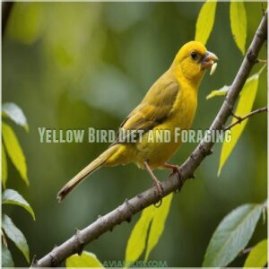 Yellow Bird Diet and Foraging