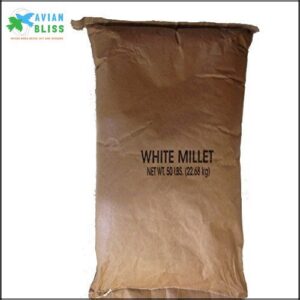 84075 White Proso Millet Wild