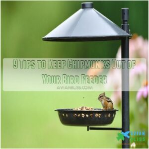 9 tips on how to keep chipmunks out of your bird feeder