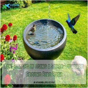 Advantages of Using a Solar-Powered Ground Bird Bath