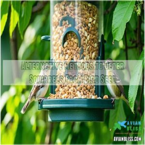 Alternative Methods to Deter Squirrels From Bird Seed