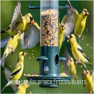 American Goldfinch Feeding Habits