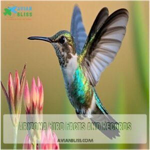 Arizona Bird Facts and Records