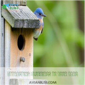 Attracting Bluebirds to Your Yard