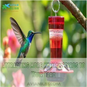 Attracting More Hummingbirds to Your Yard