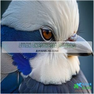 Avian Anesthesia Options