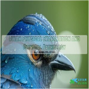 Avian Physical Examination and Clinical Pathology