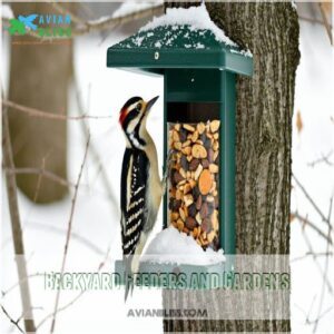 Backyard Feeders and Gardens