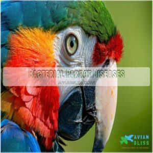 Bacterial Parrot Diseases