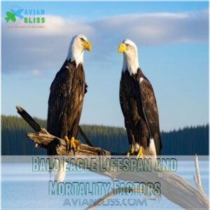 Bald Eagle Lifespan and Mortality Factors