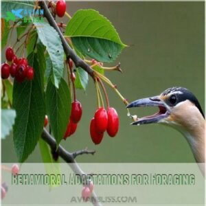 Behavioral Adaptations for Foraging