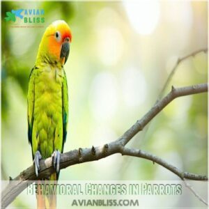 Behavioral Changes in Parrots