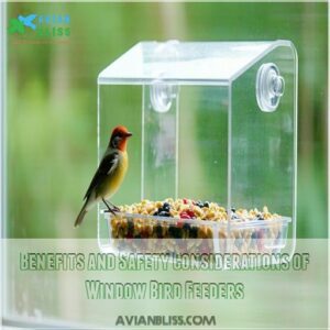 Benefits and Safety Considerations of Window Bird Feeders