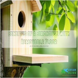 Benefits of a Birdhouse With Removable Floor