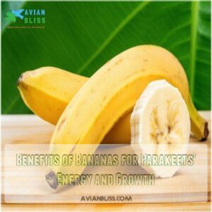 Benefits of Bananas for Parakeets