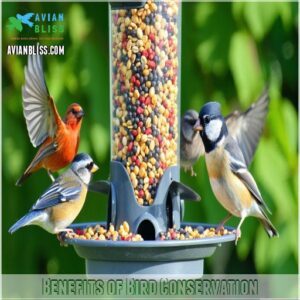 Benefits of Bird Conservation