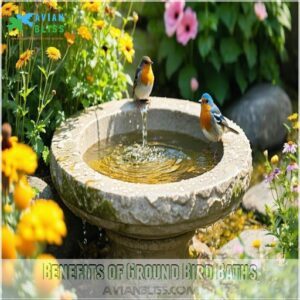 Benefits of Ground Bird Baths