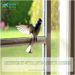 Benefits of Swallows Around Houses