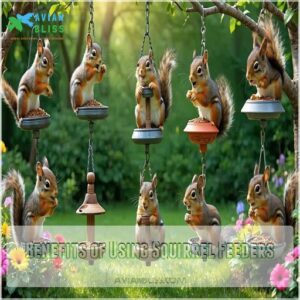 Benefits of Using Squirrel Feeders