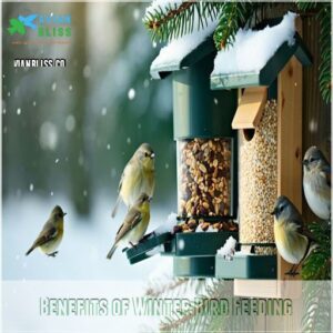 Benefits of Winter Bird Feeding