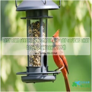 best bird feeder for cardinals