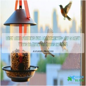 best bird feeders for apartments