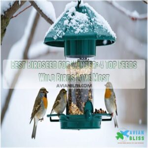 best birdseed for winter feeding