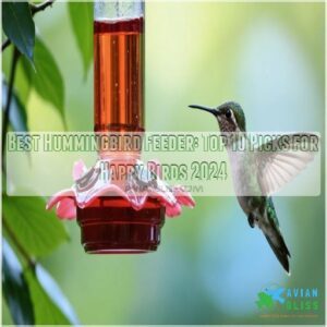 best hummingbird feeder