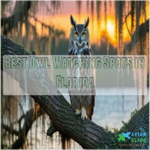 Best Owl Watching Spots in Florida