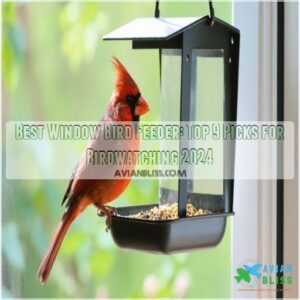 best window bird feeder