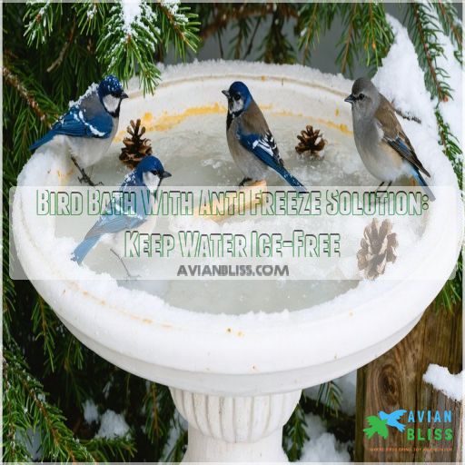 bird bath with anti freeze solution