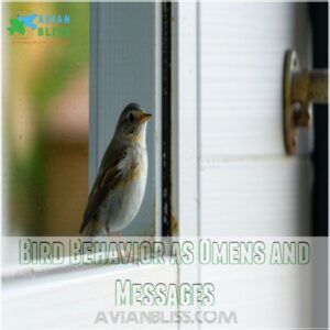 Bird Behavior as Omens and Messages