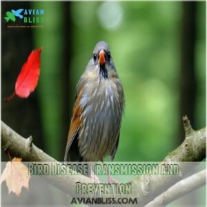 Bird Disease Transmission and Prevention