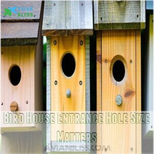 Bird House Entrance Hole Size Matters