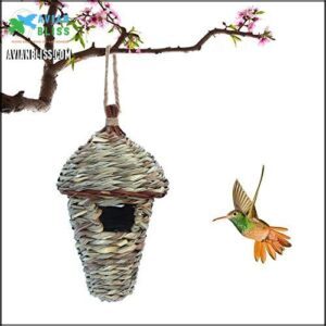 Bird House for Outside, Resting