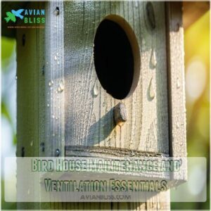 Bird House Maintenance and Ventilation Essentials