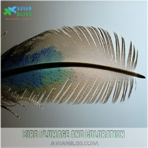 Bird Plumage and Coloration