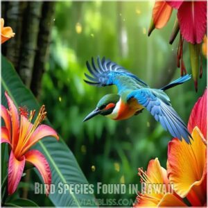 Bird Species Found in Hawaii