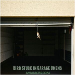 Bird Stuck in Garage Omens