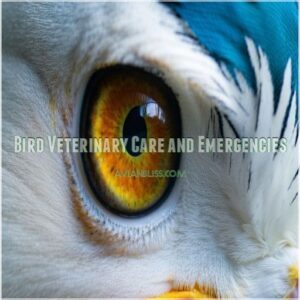 Bird Veterinary Care and Emergencies