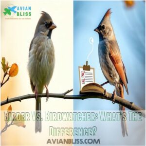 Birder Vs. Birdwatcher: What