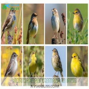 Birding Organizations in Iowa